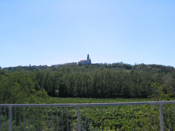 20060909131233.jpg
